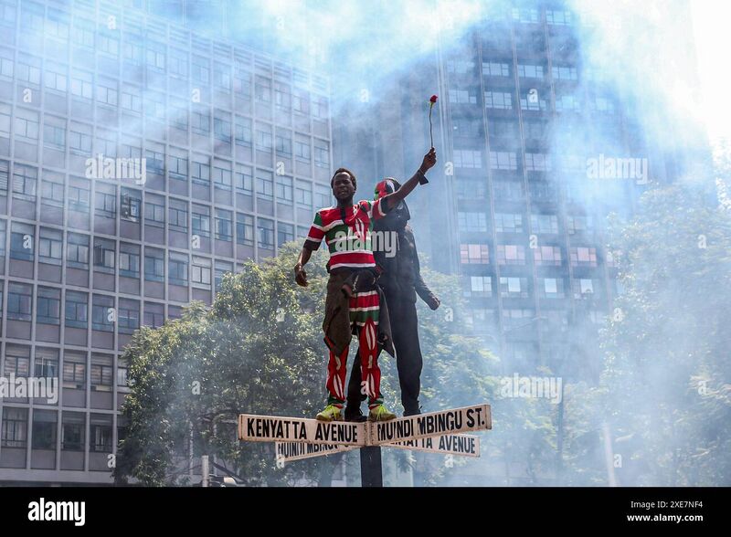 File:Protestor.jpg